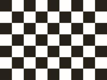 Flagge, Fahne Start/Ziel